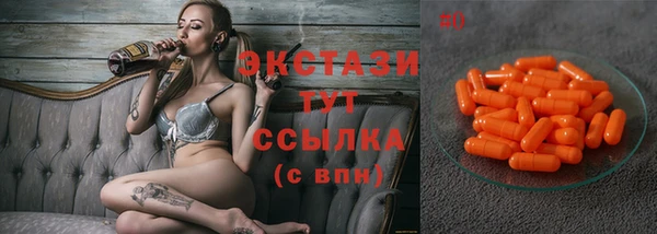 крисы Бородино