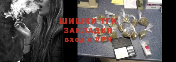 крисы Бородино