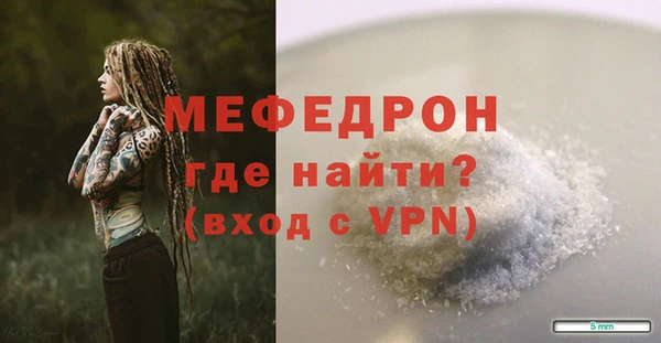 крисы Бородино