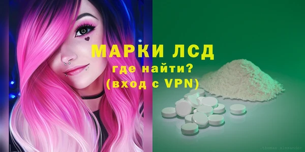 крисы Бородино