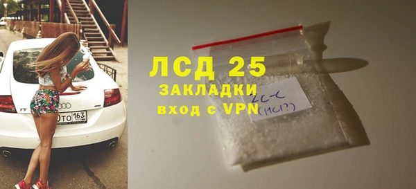 крисы Бородино