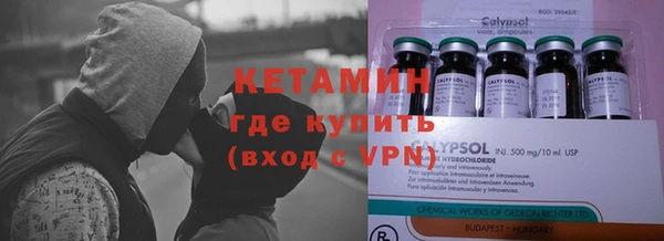 крисы Бородино