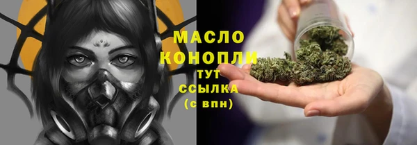 крисы Бородино