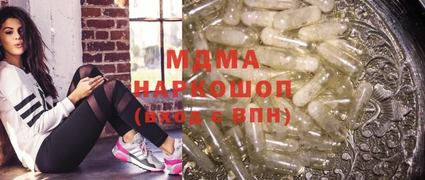 крисы Бородино