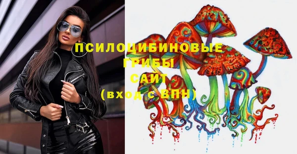 крисы Бородино