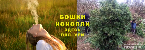 крисы Бородино