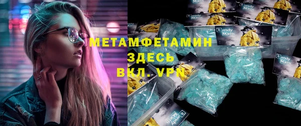 крисы Бородино