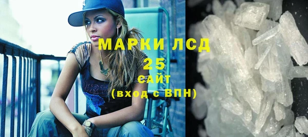 крисы Бородино