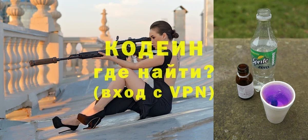 крисы Бородино