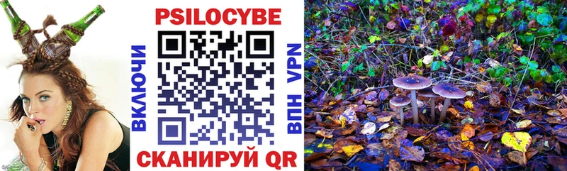 как найти закладки  Нестеровская  Псилоцибиновые грибы Psilocybe 